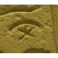 False door of Sheshi, seba, five-point, crescent